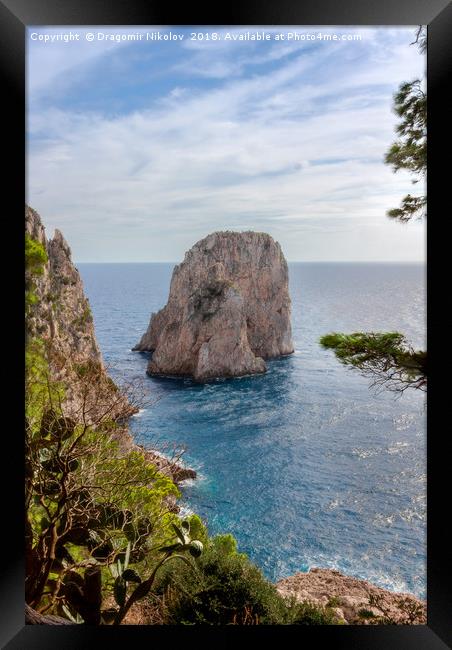 Faraglioni rock on Capri island, Italy.  Framed Print by Dragomir Nikolov