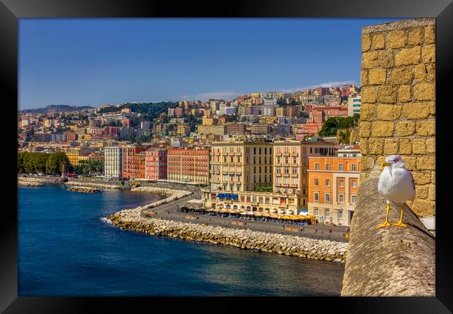 Summer day in Naples. View from Ovo Castle. Framed Print by Dragomir Nikolov