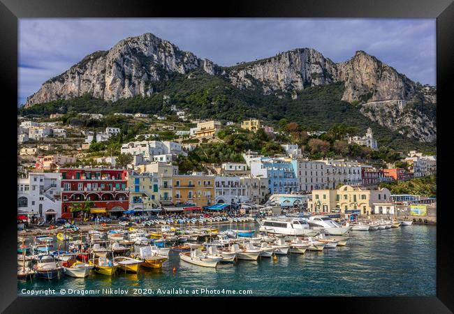 Colorful port of Capri island in Italy Framed Print by Dragomir Nikolov