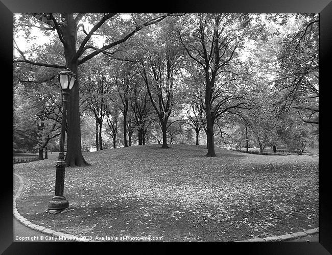 Central Park New York City Framed Print by Carly Mahone
