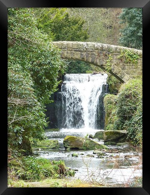 Footbridge and Waterfall Framed Print by Carly Mahone