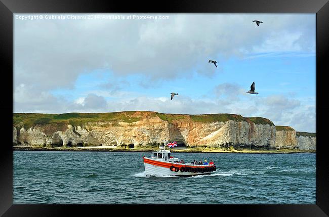 Flamborough Cliffs Framed Print by Gabriela Olteanu