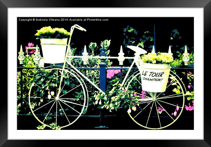  The Yellow Bicycle Framed Mounted Print by Gabriela Olteanu