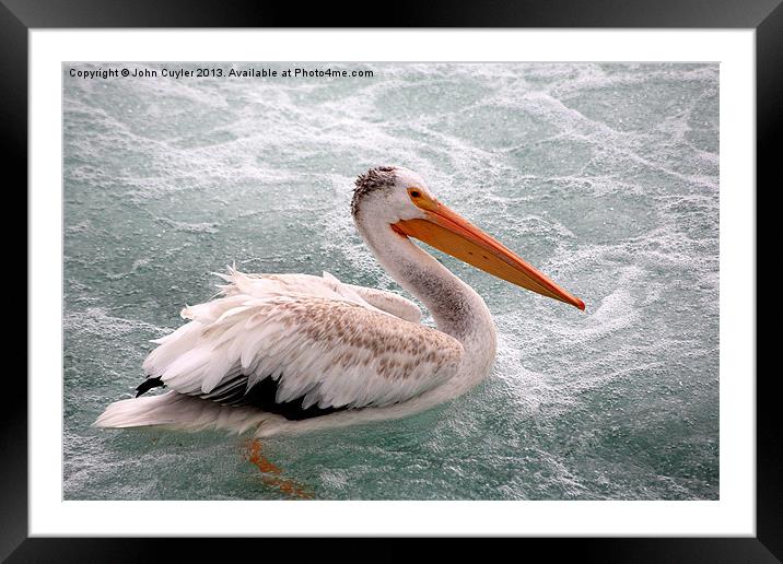 Chilln on the River Framed Mounted Print by John Cuyler