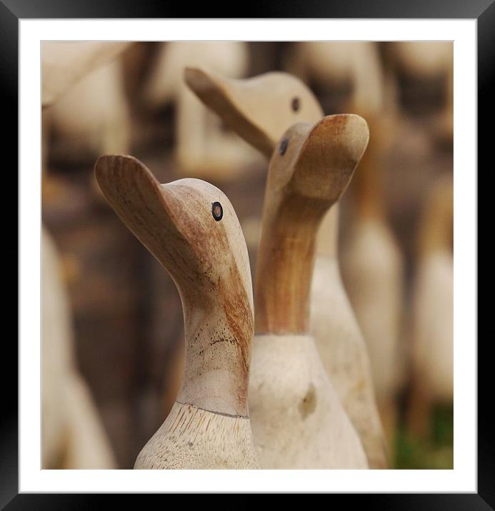 Wooden Ducks Framed Mounted Print by
