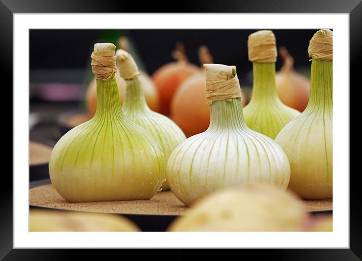 Onions Framed Mounted Print by