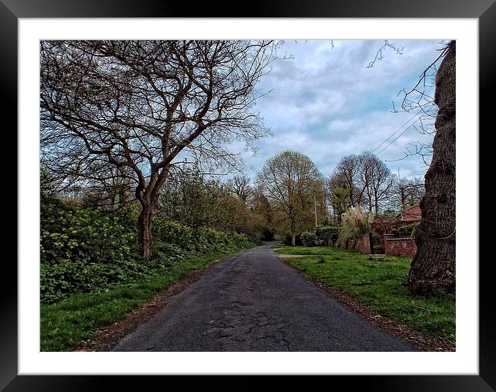 normanston drive Framed Mounted Print by chrissy woodhouse