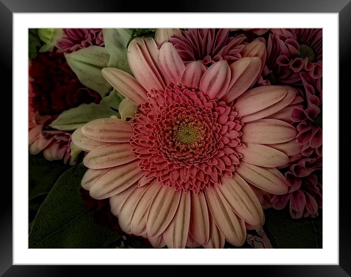 shades of pink Framed Mounted Print by chrissy woodhouse