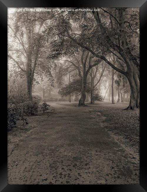  Belle vue in sepia Framed Print by chrissy woodhouse
