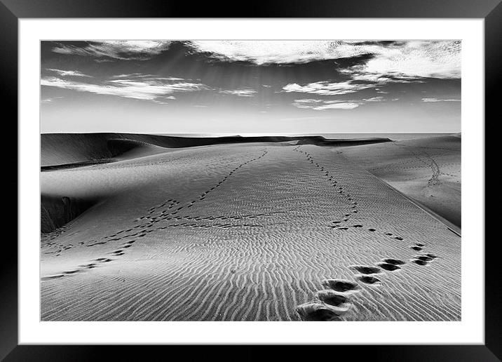 Footsteps in the sand Framed Mounted Print by Andy McGarry