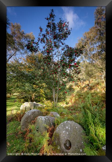 Millstones and yew tree Framed Print by Andy McGarry