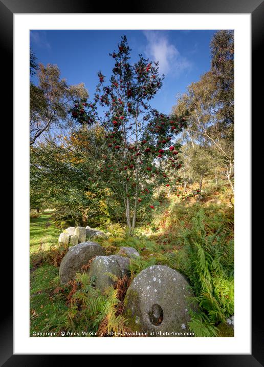 Millstones and yew tree Framed Mounted Print by Andy McGarry