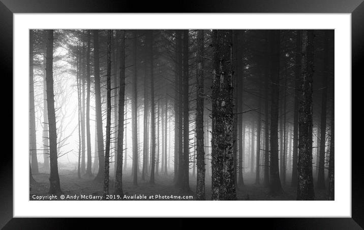 Winter Forest Fog Framed Mounted Print by Andy McGarry