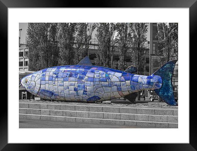 blue fish in belfast Framed Print by william sharpe
