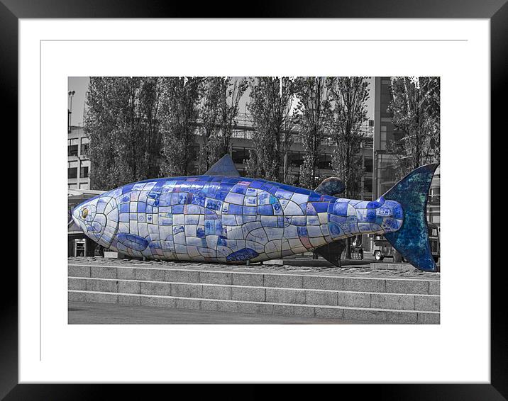 blue fish in belfast Framed Mounted Print by william sharpe