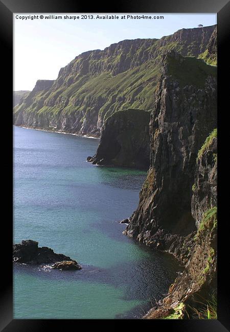 cliffs at carrick - a - rede Framed Print by william sharpe