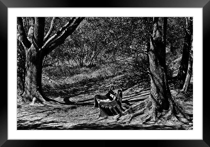 Bench of Shadows Framed Mounted Print by Andrew Stephen