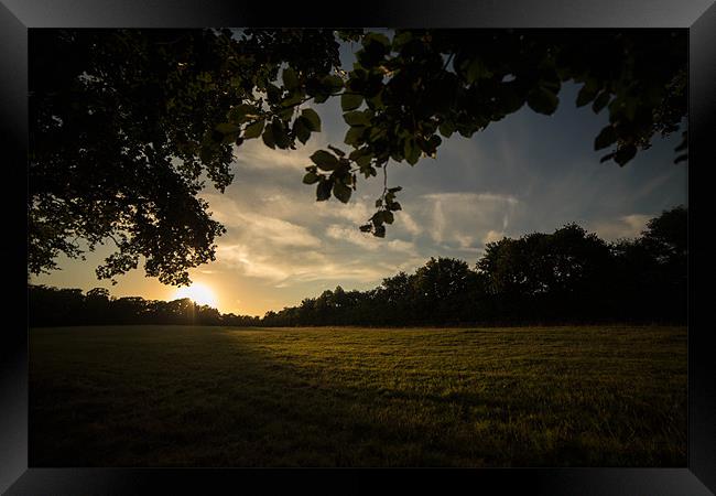 Golden Hour at Upton Country Park Framed Print by Daniel Rose