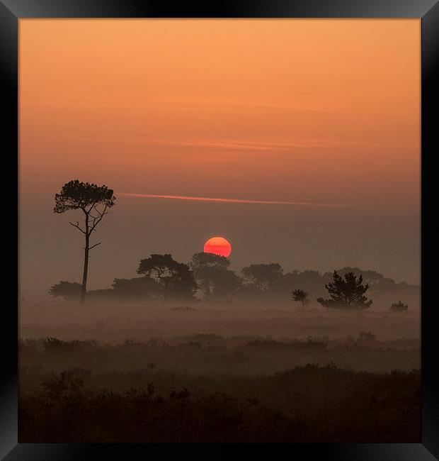 Mystical Sunrise in Dorset Framed Print by Daniel Rose