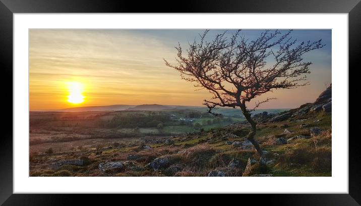 Sunset over Dartmoor National Park Framed Mounted Print by Daniel Rose