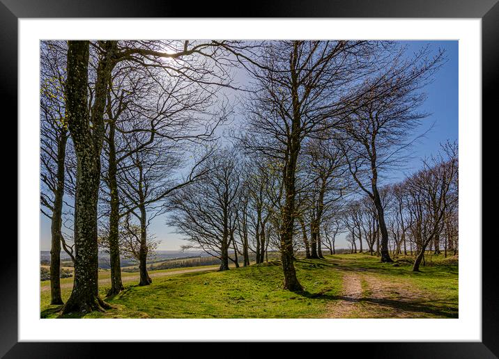 Chanctonbury Light Framed Mounted Print by Malcolm McHugh