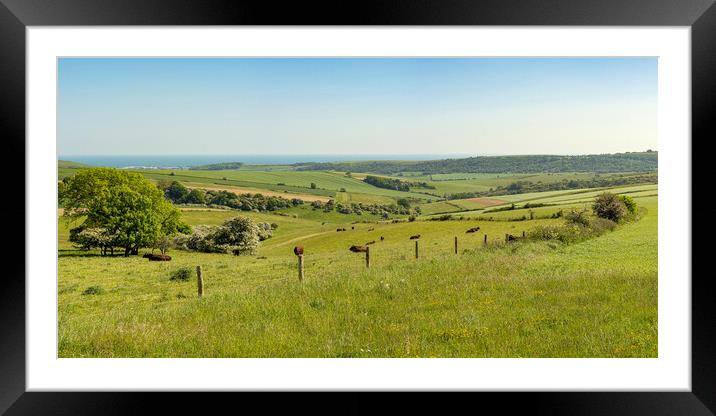 South Downs Splendour Framed Mounted Print by Malcolm McHugh