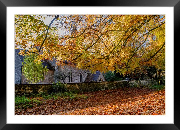 Russet Canopy Framed Mounted Print by Malcolm McHugh