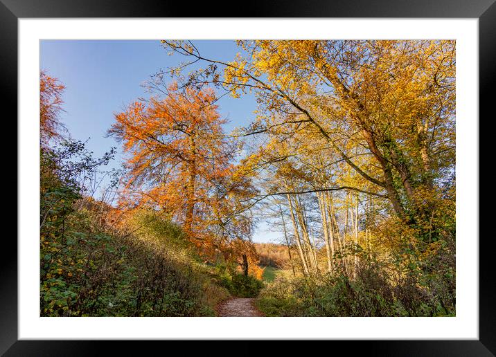 Autumn Walking Framed Mounted Print by Malcolm McHugh