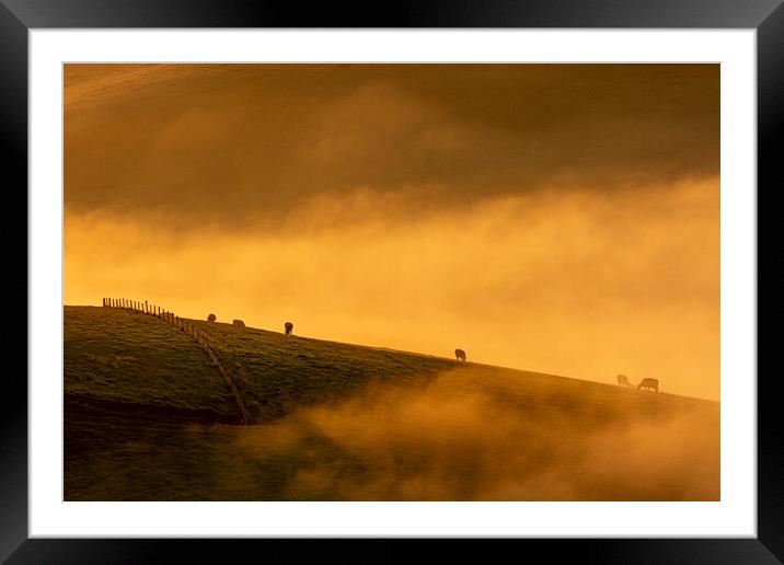 South Downs Misty Morning Framed Mounted Print by Malcolm McHugh