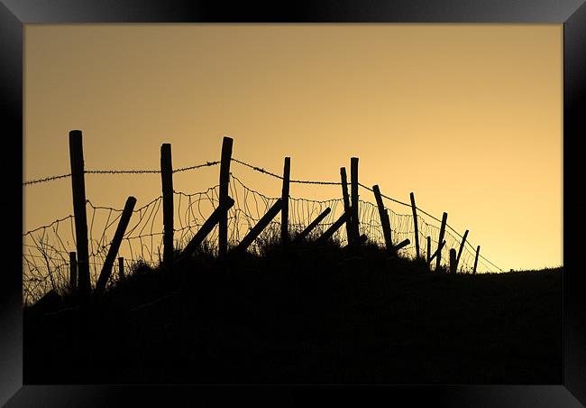 Into The Light Framed Print by Malcolm McHugh