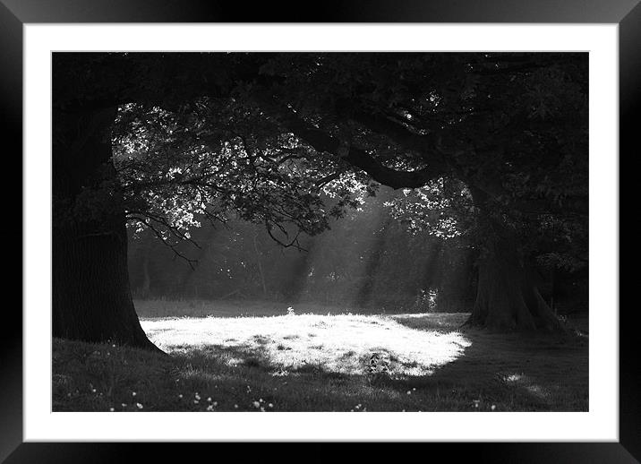 Beams of Light Framed Mounted Print by Malcolm McHugh