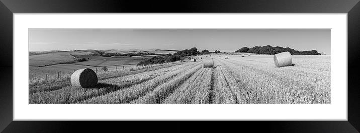 Late Summer - South Downs Framed Mounted Print by Malcolm McHugh