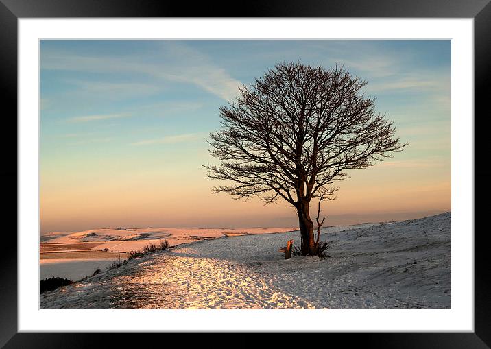 The Nowhere Tree Framed Mounted Print by Malcolm McHugh