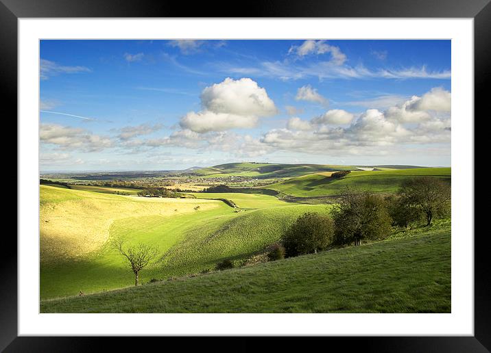 Along the Downs Framed Mounted Print by Malcolm McHugh