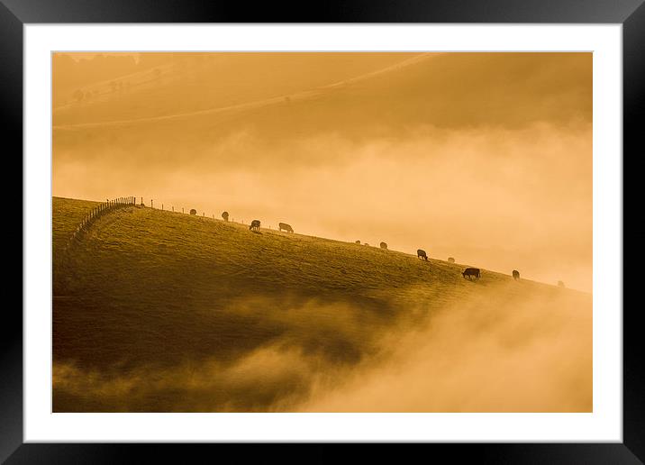 Silhouettes in the Mist Framed Mounted Print by Malcolm McHugh