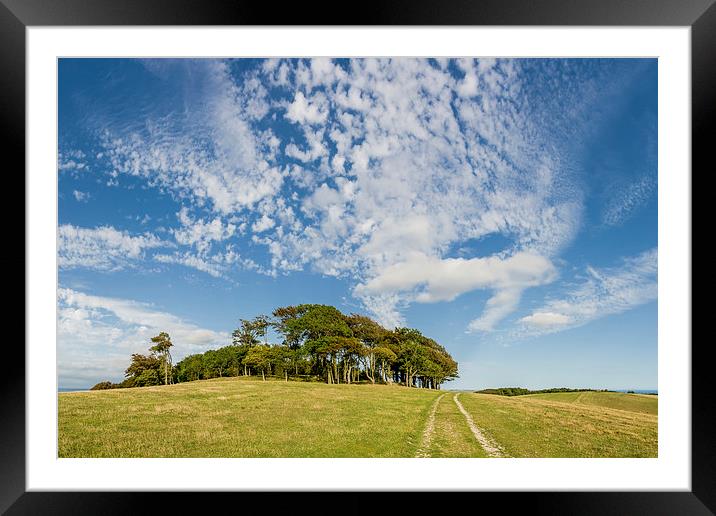 Big Sky over Chanctonbury Ring Framed Mounted Print by Malcolm McHugh