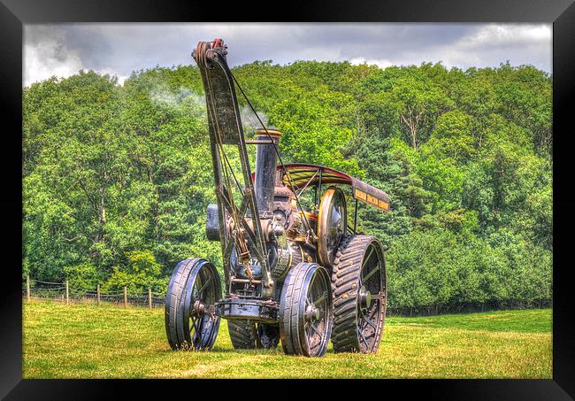 Fowler Giant Framed Print by Malcolm McHugh