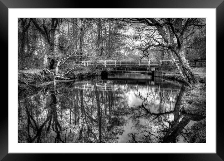 Forest Reflections Framed Mounted Print by Malcolm McHugh