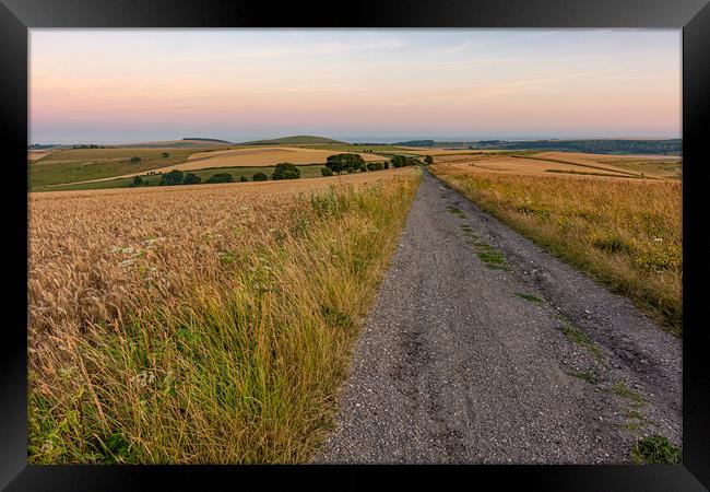 South Downs Way after sunset Framed Print by Malcolm McHugh