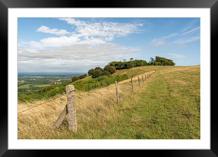 Majestic Chanctonbury Ring Framed Mounted Print by Malcolm McHugh