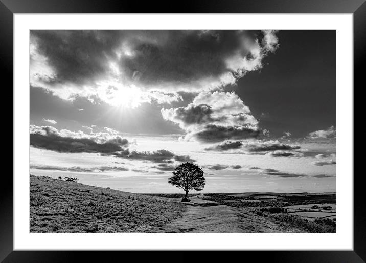 Lone Seat and Tree with a View Framed Mounted Print by Malcolm McHugh