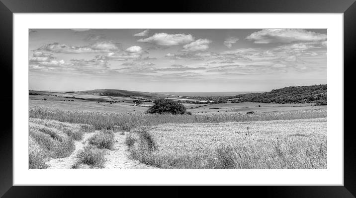 Steep Down Summer Framed Mounted Print by Malcolm McHugh