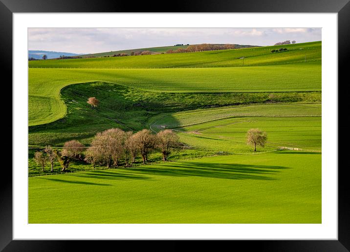 South Downs Green Framed Mounted Print by Malcolm McHugh