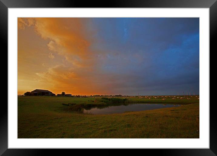  A warm evening glow Framed Mounted Print by Stephen Prosser
