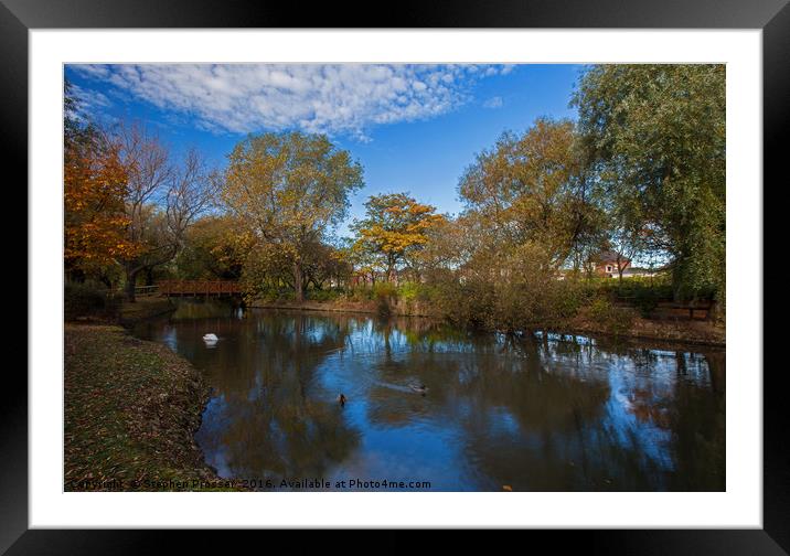 Beauty in the Park Framed Mounted Print by Stephen Prosser