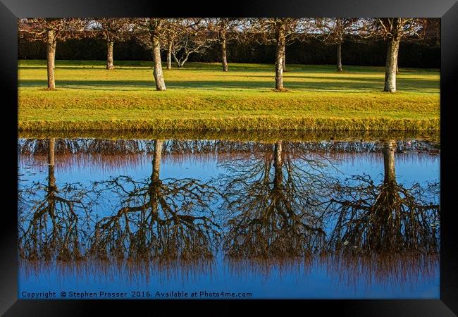 Topsy turvey trees Framed Print by Stephen Prosser