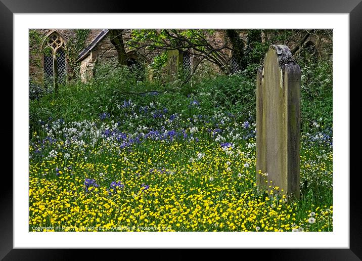 God's Garden Framed Mounted Print by Martyn Arnold