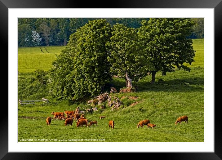 Farming Countryside Scene Framed Mounted Print by Martyn Arnold