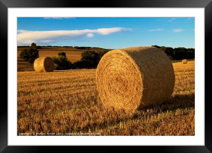Autumn Haybales Framed Mounted Print by Martyn Arnold