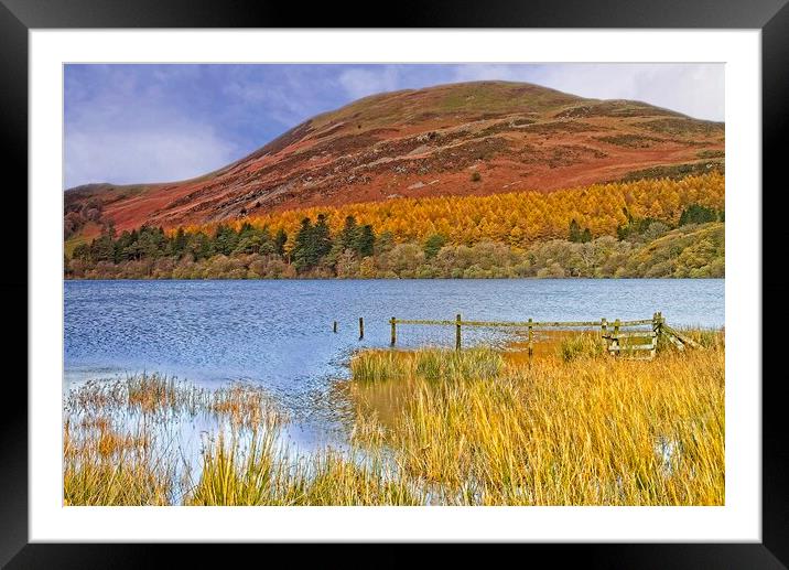 Autumn at Loweswater and Darling Fell, Lake distri Framed Mounted Print by Martyn Arnold